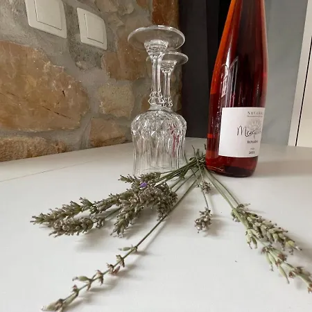 Radini Istrian Romantic With Private Parking And Terrace Brtonigla