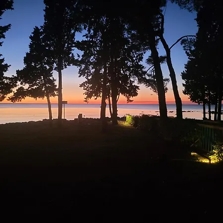 Radini Istrian Romantic With Private Parking And Terrace Brtonigla
