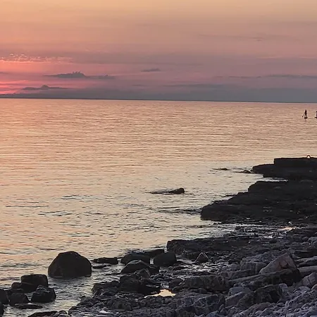 Radini Istrian Antique Stone House With Private Parking And Terrace Appartement