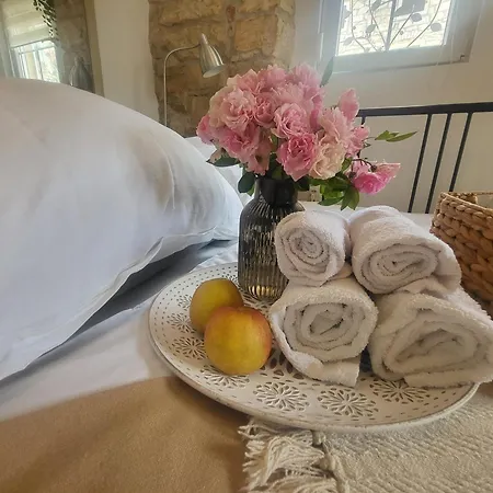 Radini Istrian Antique Stone House With Private Parking And Terrace Appartement *